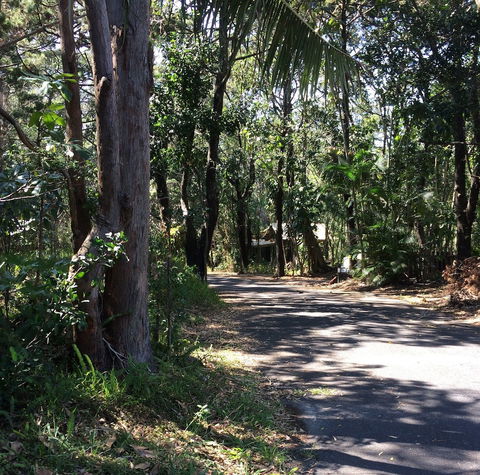 Byron Bay Rainforest Resort - Maitland Accommodation 3