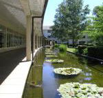 ANU University House Hotel - Maitland Accommodation