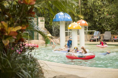 Ashmore Palms Holiday Village - Maitland Accommodation 4