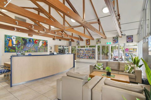 Ashmore Palms Holiday Village - Maitland Accommodation 7