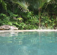 Daintree Rainforest Retreat - Maitland Accommodation