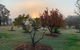 Woolshed Hill Estate - thumb 6