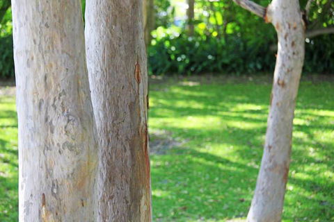 The Retreat Port Stephens - Maitland Accommodation 2