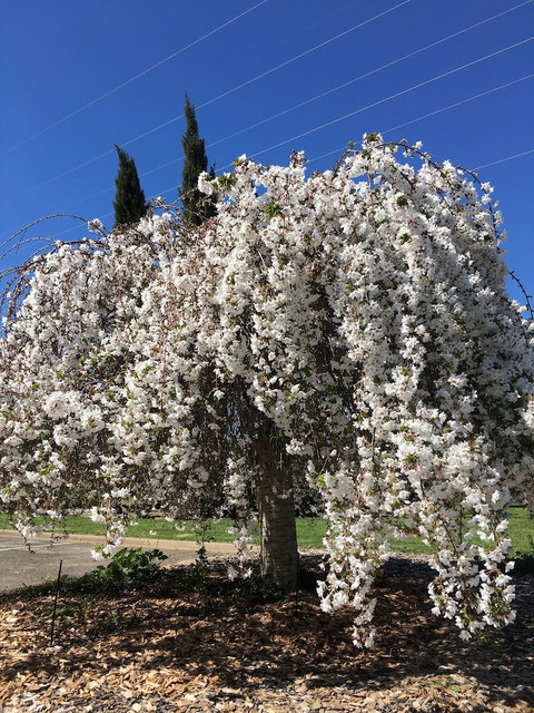 Quality Inn Carriage House - Maitland Accommodation 3