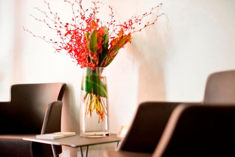 Adelaide Paringa - Maitland Accommodation 2