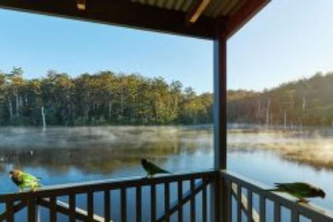RAC Karri Valley Resort - Maitland Accommodation 5