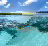 Green Island Resort - Maitland Accommodation