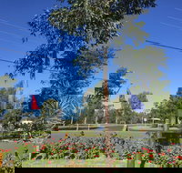 Silver Oaks Motel - Maitland Accommodation