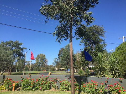 Silver Oaks Motel - Maitland Accommodation 0