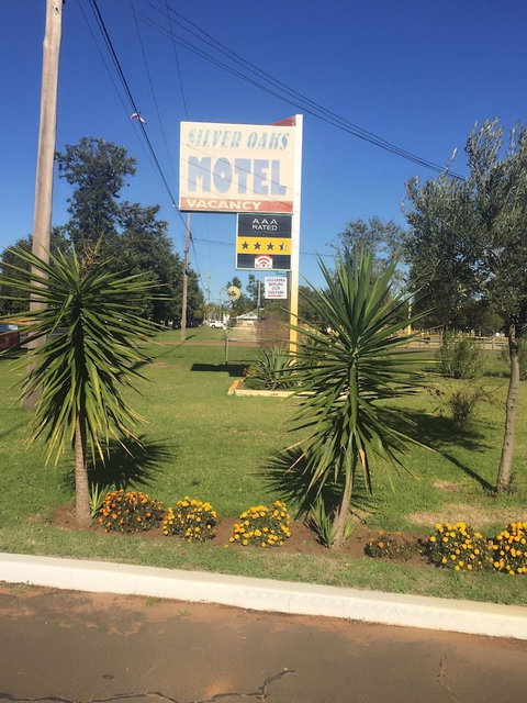 Silver Oaks Motel - Maitland Accommodation 1