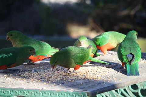 Omeo Motel - Maitland Accommodation 4