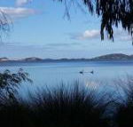 Lilacs Waterfront Villas  Cottages - Maitland Accommodation