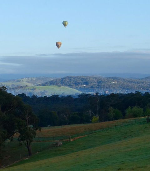 The Little House On The Hill - Maitland Accommodation 5