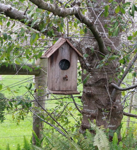 The Little House On The Hill - Maitland Accommodation 2