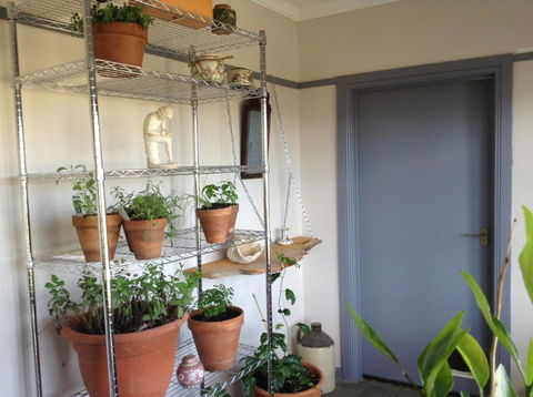 Springmead B & B - Maitland Accommodation 1