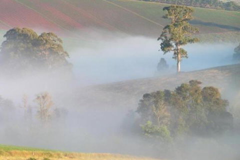 SIGNAL BOX Short Stay - Maitland Accommodation 4