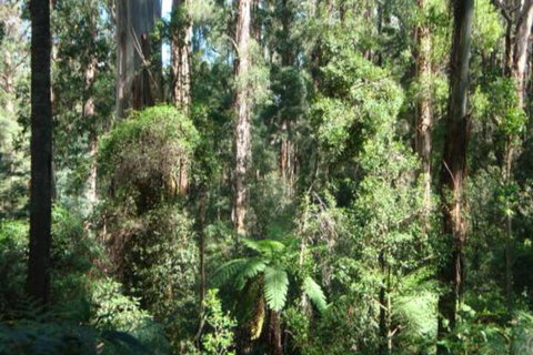 SIGNAL BOX Short Stay - Maitland Accommodation 3