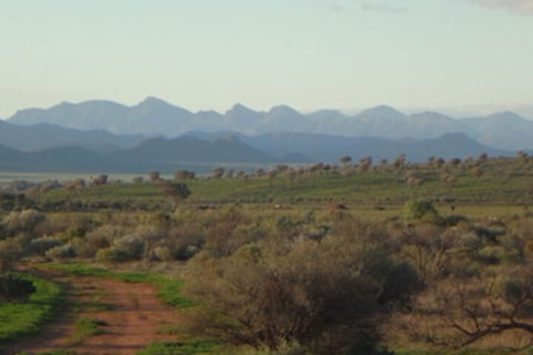 Windana Cottages - Maitland Accommodation 0