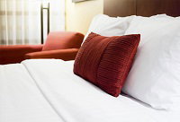  Maitland Accommodation