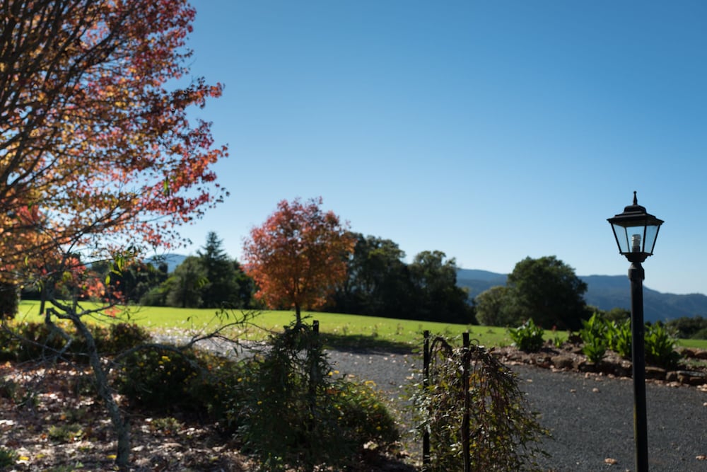 Megan NSW Maitland Accommodation