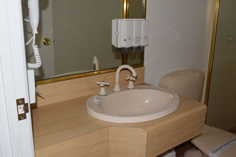 Warwick Vines Motel - Maitland Accommodation 2