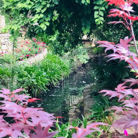 Aldgate Creek Cottage Bed & Breakfast - Maitland Accommodation 7