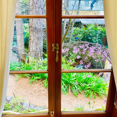 Aldgate Creek Cottage Bed & Breakfast - Maitland Accommodation 6