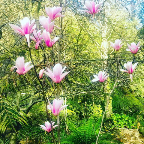 Aldgate Creek Cottage Bed & Breakfast - Maitland Accommodation 3