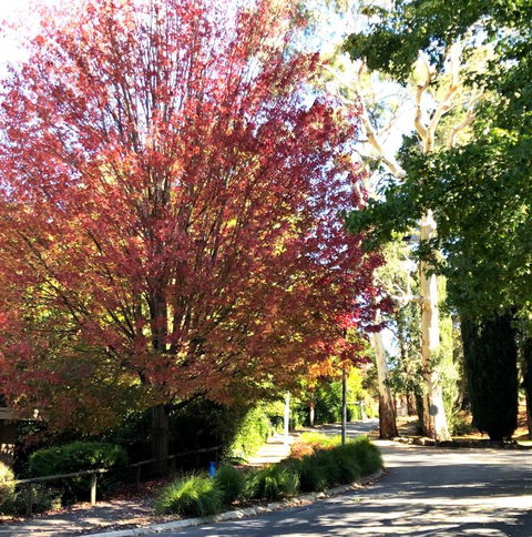 Aldgate Creek Cottage Bed & Breakfast - Maitland Accommodation 2