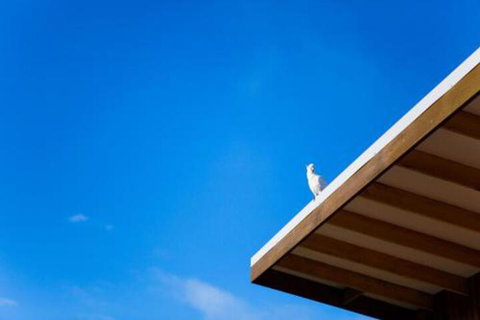 Wye Not Escape - Maitland Accommodation 6