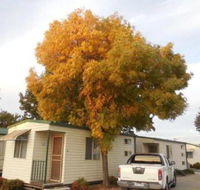 Wodonga Caravan  Cabin Park - Maitland Accommodation