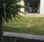 Ella House Adelaide - Maitland Accommodation