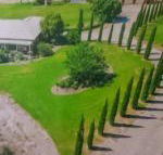 Gaerwood B  B - Maitland Accommodation