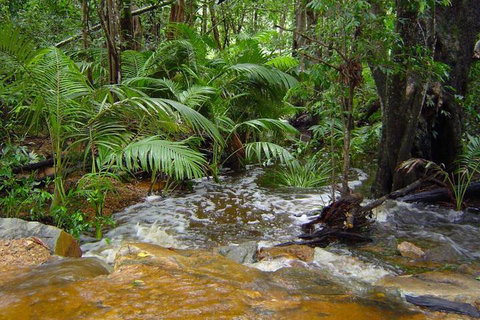 Forest Lodge: Bali Style Retreat - Maitland Accommodation 6