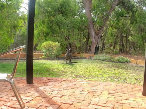 Yallingup Pet Friendly Bush Retreat - Maitland Accommodation 5