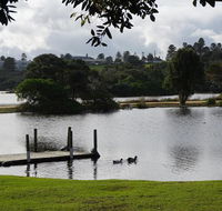 Abrigo Apartment - Maitland Accommodation
