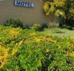 Esk Motel - Maitland Accommodation