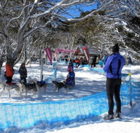 Cloud 9 Alpine Lodge - Maitland Accommodation