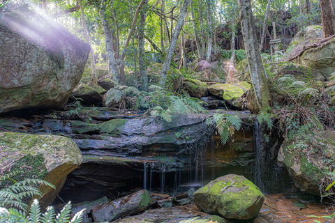 Waterfall Springs Retreat And Wildlife Sanctuary - Maitland Accommodation 3