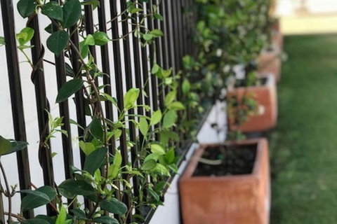 Takalvan Motel - Maitland Accommodation 1