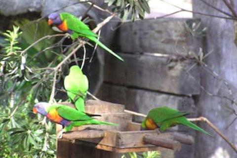 Kianinny Bush Cottages - Maitland Accommodation 1