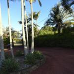 Cleveland B & B Private Studio Room - Maitland Accommodation 1