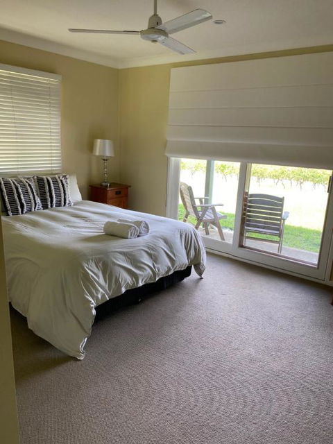 Molly Morgan Vineyard - Maitland Accommodation 1