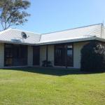 Molly Morgan Vineyard - Maitland Accommodation 0