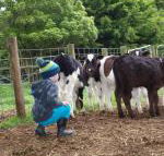 Manderley Park Farmstay B  B - Maitland Accommodation