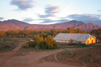 Edeowie Station - Maitland Accommodation 6