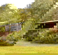 Diamond Forest Farm Stay - Maitland Accommodation