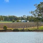 Ironbark Villa 3 - Maitland Accommodation 0
