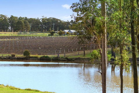 Ironbark Villa 4 - Maitland Accommodation 6