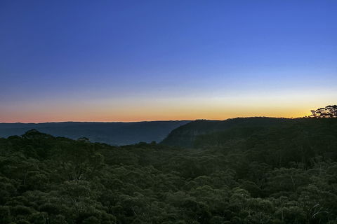 Narrow Neck Lodge - Maitland Accommodation 6